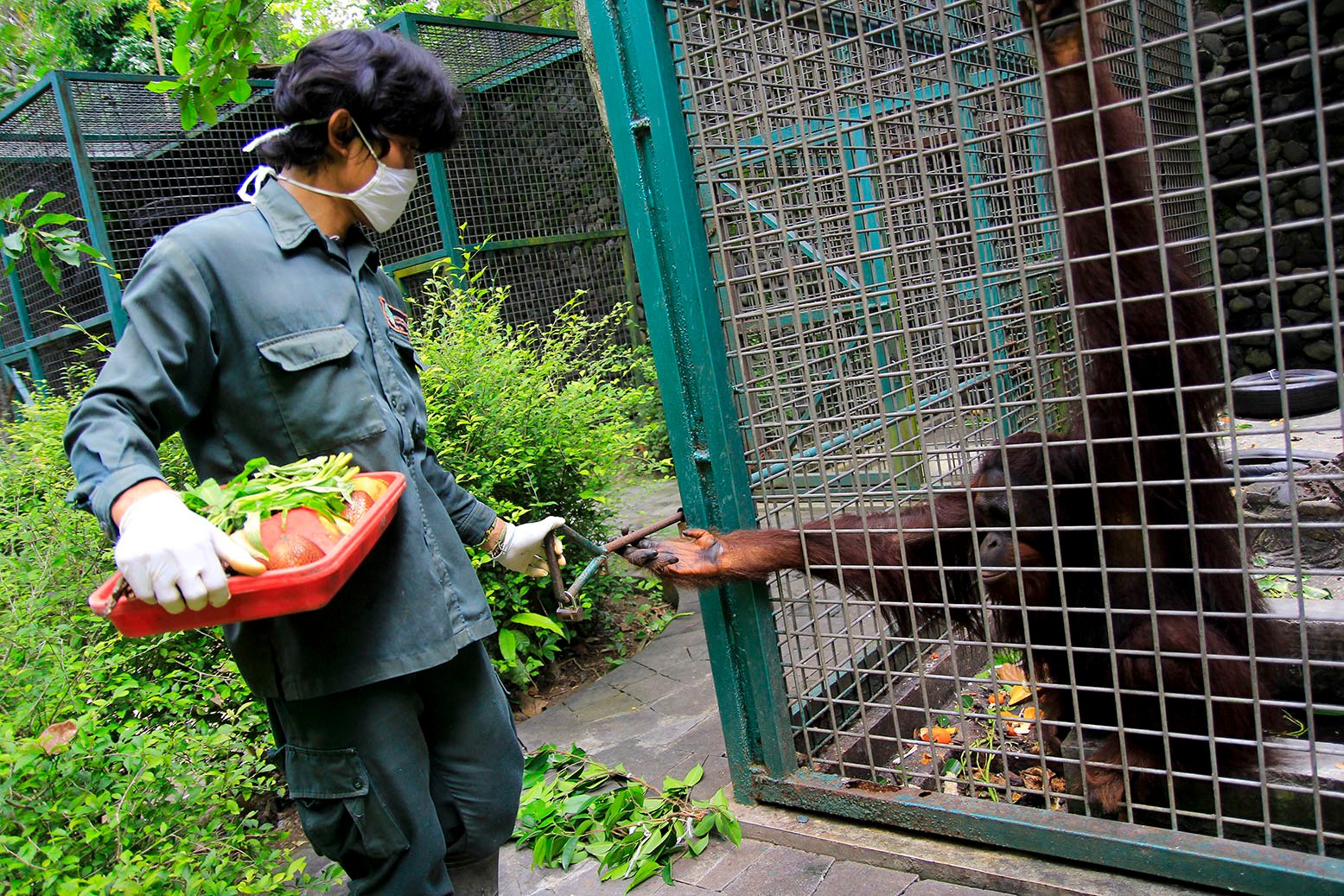 Wildlife Rescue Centre Jogja - Kids Holiday Spots - Liburan Anak